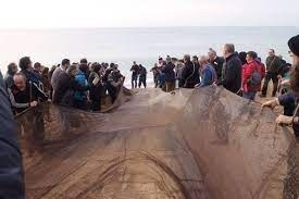 Tirada de l'artó, sardinada popular i havaneres