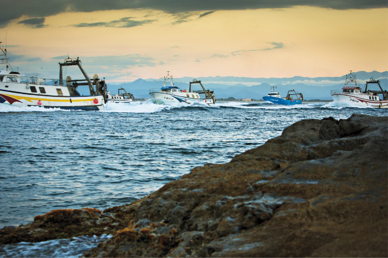 Cicle de xerrades: Fem Memòria