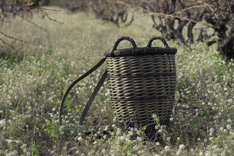 Taller “Cistelleria: Motxilla de vímet”