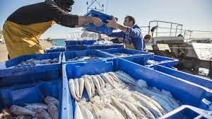 Port de pesca i LLotja