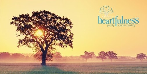 Taller: Meditació Heartfulness