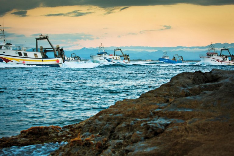 Visita guiada al port i la llotja de Roses