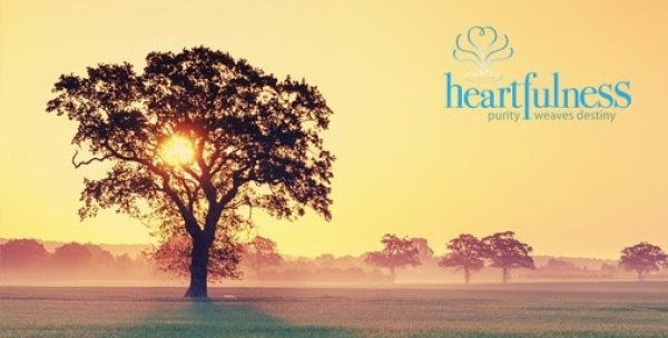 Taller: Meditació Heartfulness