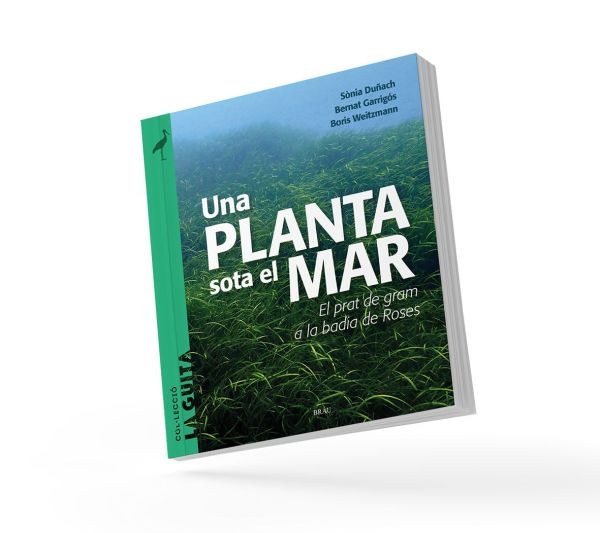 "Una Planta sota el mar" de Sònia Duñach, Bernat Garrigós i Boris Weitzmann