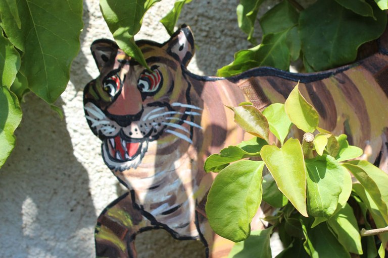 Contes a la Fresca: Contes de la jungla