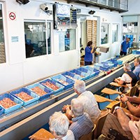 Visita guiada al port de pesca i a la subhasta de peix.