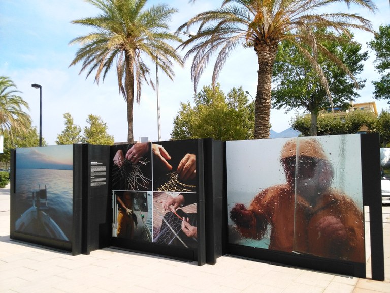 Exposició de Fotografies: Pinzellades en el temps