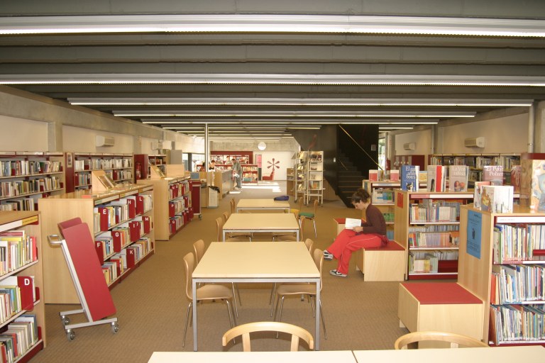 Joves lectors. L’al·lucinant, galàctic i piràtic viatge del pare, de Neil Gaiman