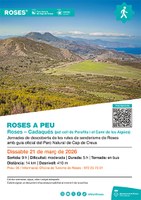 Roses-a-peu_cadaques-perafita_21-març-2026.jpg