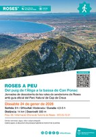 Roses-a-peu_pic-Aliga_24-gener-2025.jpg