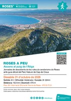 Roses-a-peu_pic-Aliga_31-oct-2026.jpg