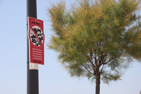 Col·locació cartells passeig