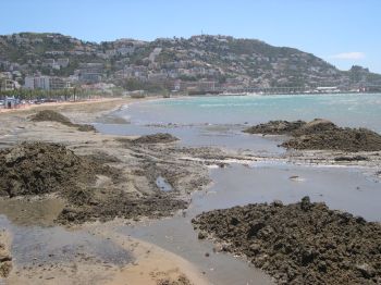 Els treballs a la platja de la Punta