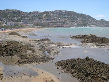 Els treballs a la platja de la Punta