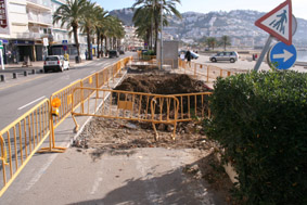 Extracció palmeres- contenidors passeig