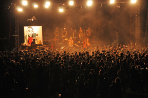 Imatge del concert. Fotògrafa: Roxitao