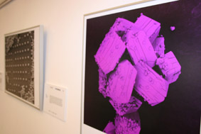 imatge exposició FOTCIÈNCIA