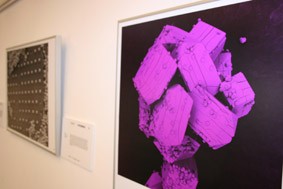 imatge exposició FOTCIÈNCIA