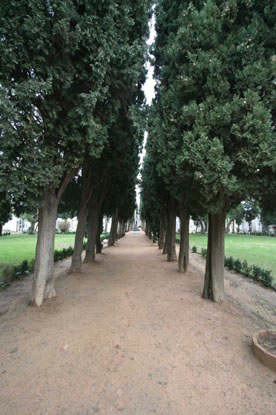 Interior cementiri municipal