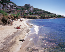 Plaltja dels Palangrers