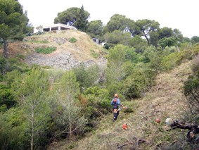 treballs franja protectora