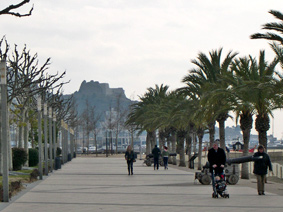 Catell de la Trinitat