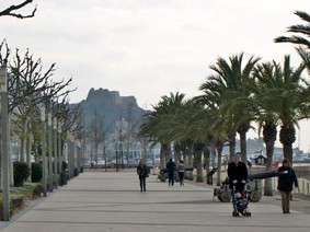 Catell de la Trinitat