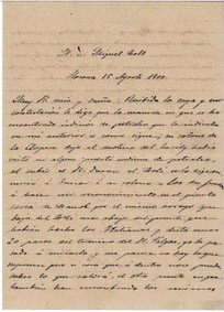 Document del febrer AMR