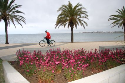 Enjardinament parterres passeig