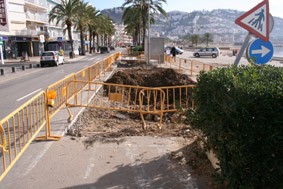 Extracció palmeres- contenidors passeig