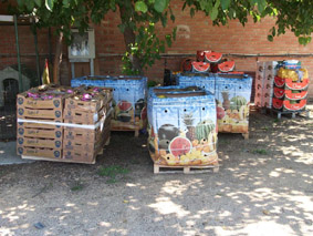 gènere venda il·legal