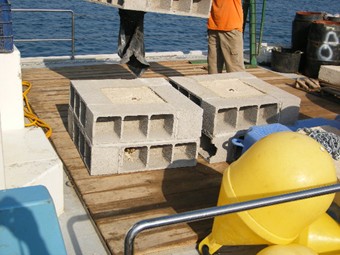 gw-e3d564eb637dab6b96ba4abb5da4f03b514c0895