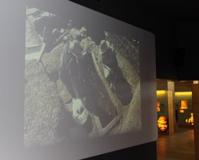 gw-e5e54f58c4b0c117b9d16abedfefcb9d3553ce8a