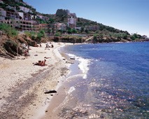 Plaltja dels Palangrers