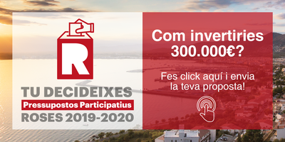 Procés de pressupostos participatius 2019-2020