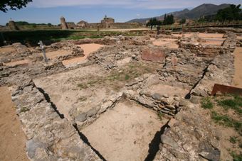 Recinte salaons peix