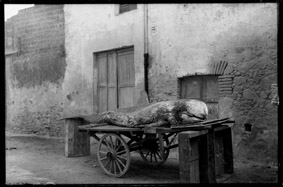 Ricard Mur. Natura Morta. Col. JM Oliveras