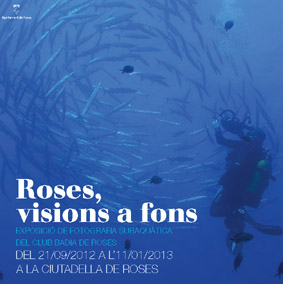 Roses, visions a fons