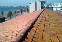 Teulat Narcís Monturiol