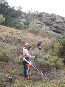 Treballadors franges protectores