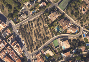 Vista aèria de l'olivar