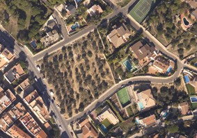Vista aèria de l'olivar