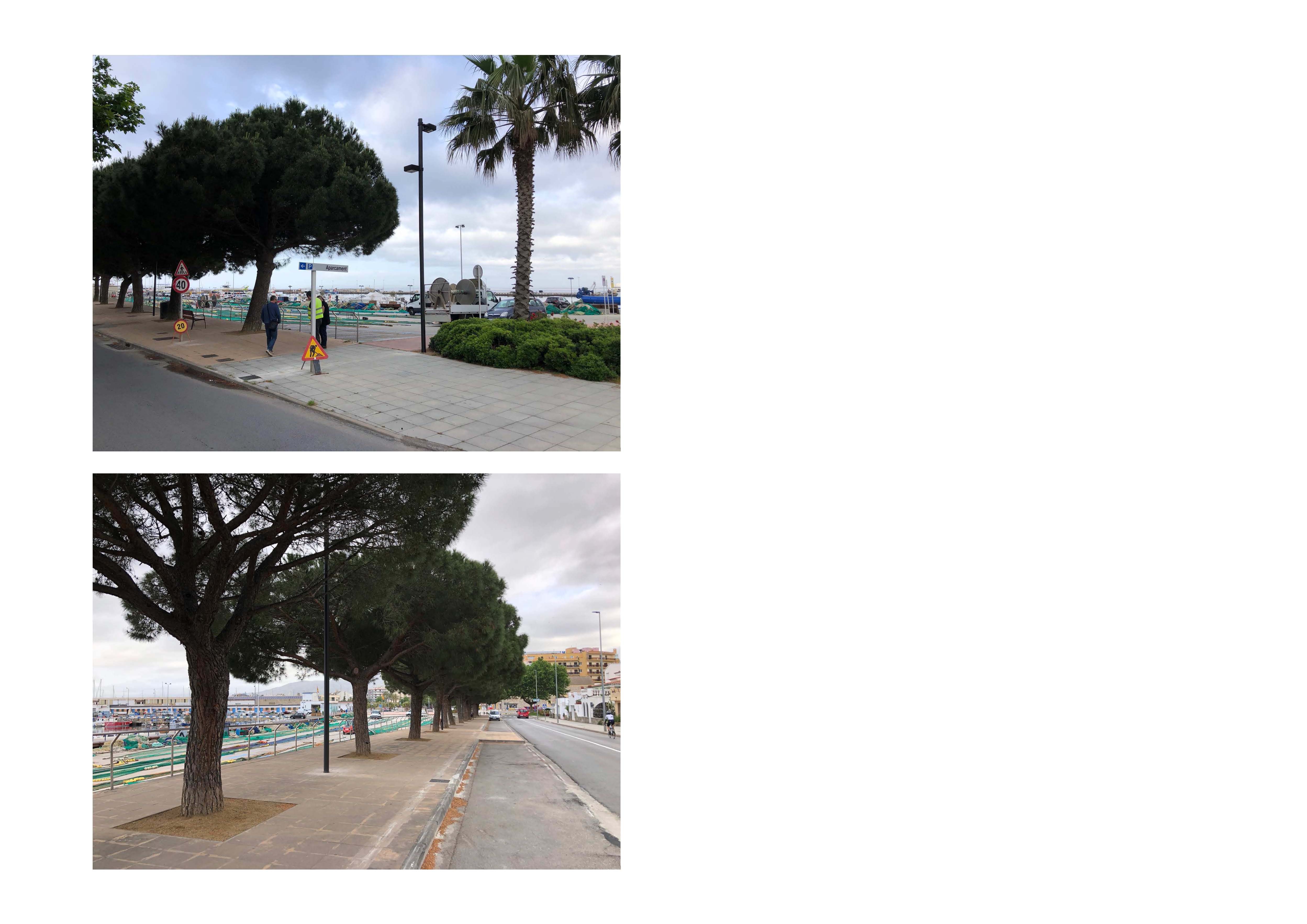 FOTOS FINAL PASSEIT CELFAR_2.jpg