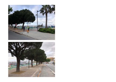 FOTOS FINAL PASSEIT CELFAR_2.jpg