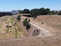 20170703_113714.jpg 20170703_113714.jpg