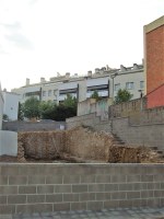 DSCF5431.JPG DSCF5431.JPG