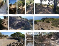 imatges.jpg imatges.jpg