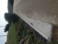 2017 02 16 (1).JPG 2017 02 16 (1).JPG