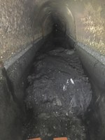 EXEC-20190320.jpg EXEC-20190320.jpg