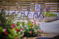 33 establiments de Roses obtenen el distintiu Ride Roses pels seus serveis als ciclistes